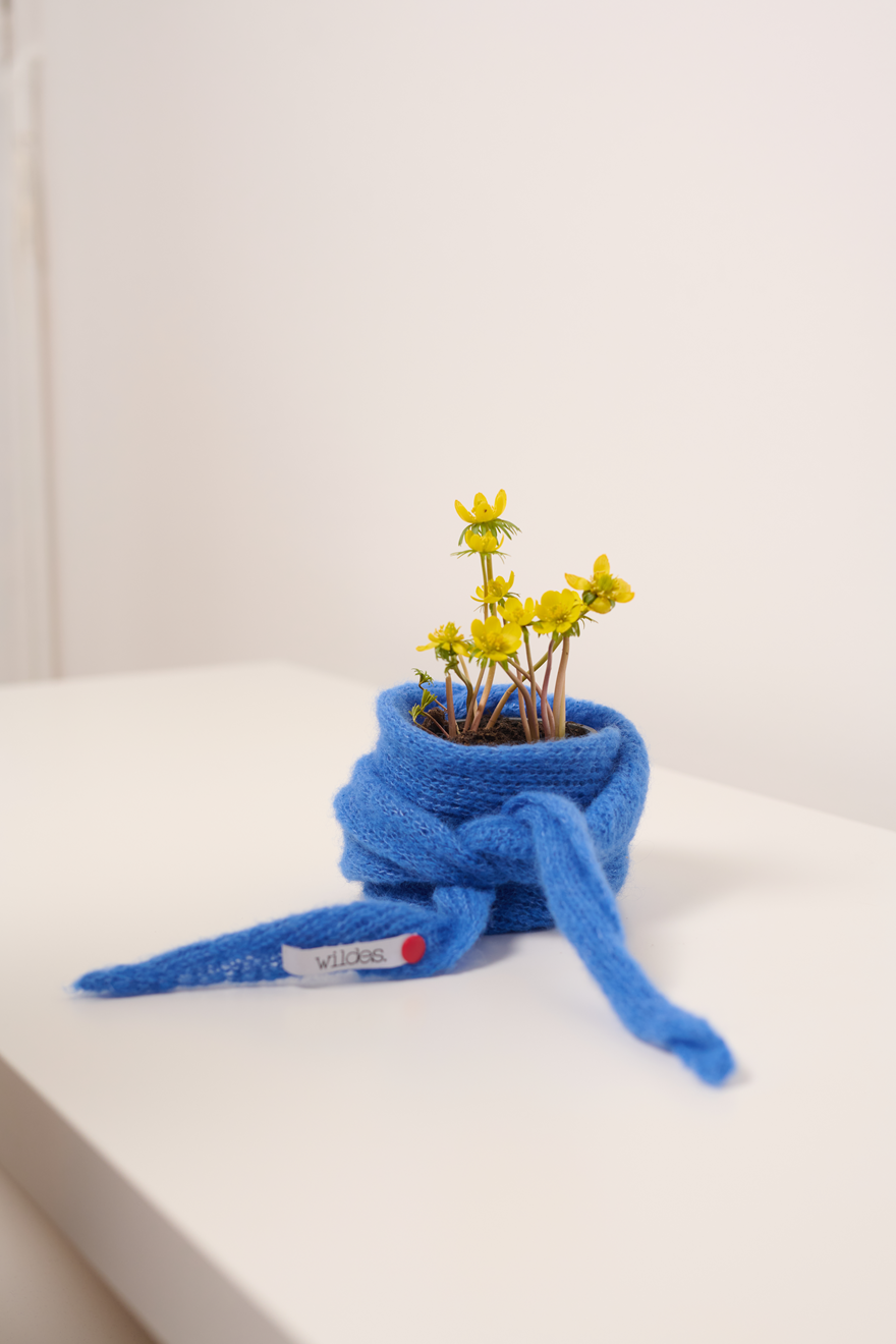 Alpaka Seide Tuch GITTI-A handgefertigt  um Blumentopf gebunden in der Farbe kobaltblau