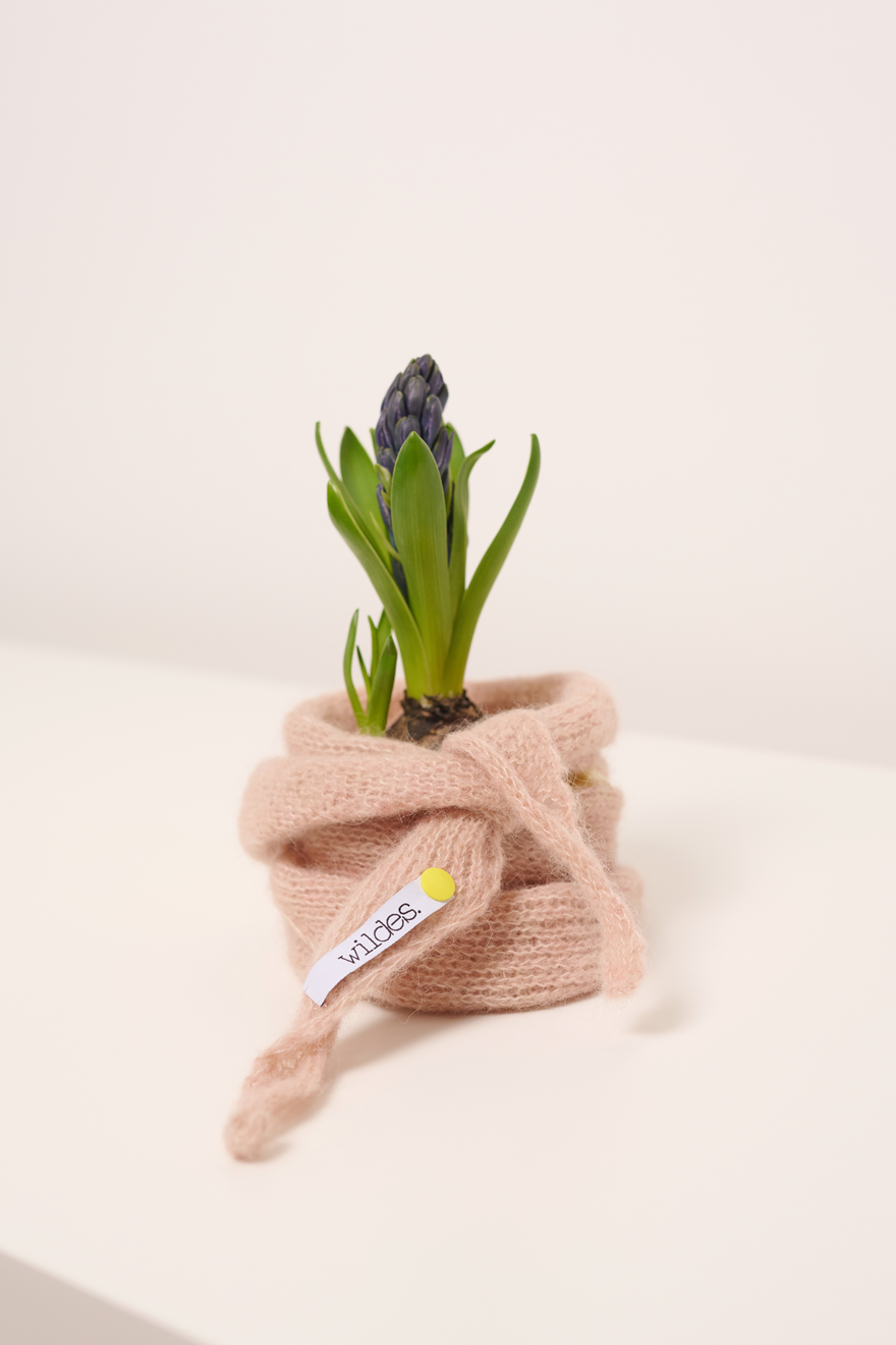 Alpaka Seide Tuch GITTI-A handgefertigt  um Blumentopf gebunden in der Farbe rosa sand